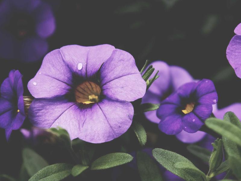 sudoku evening relaxation screenshot 6